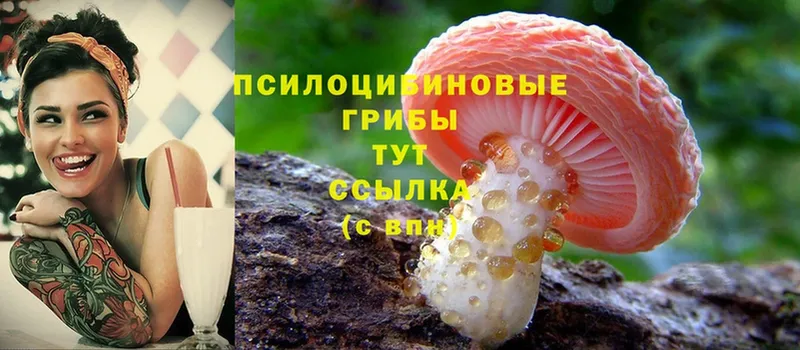 Галлюциногенные грибы Cubensis  Среднеколымск 